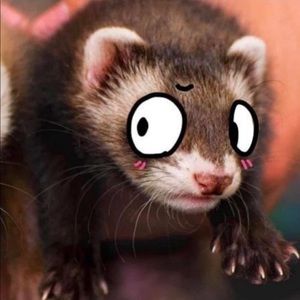 Meet your Posher, Kelli